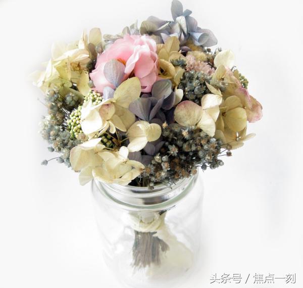 干花怎么样才会制作成功,干花的制作方法有哪些步骤