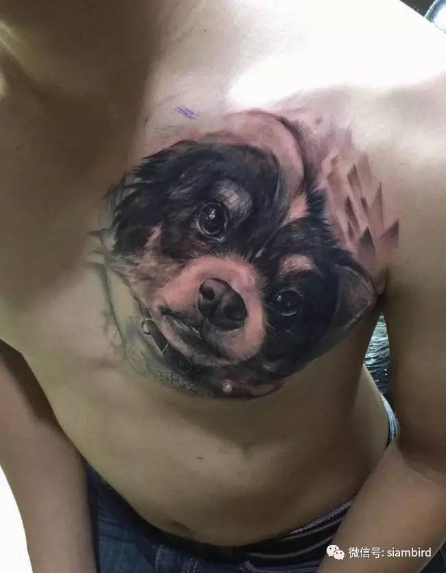 男子分手后把女友纹身改成魔鬼,男子分手把纹身女朋友改成骷髅头