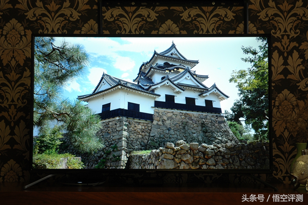 微鲸42寸电视,微鲸电视55英寸
