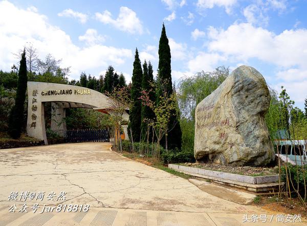 几亿年前海洋生物,生命摇篮澄江老照片