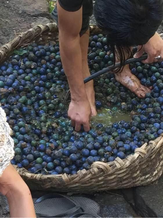 菩提金刚籽手串如何变红上色快,6瓣小金刚菩提子手串108颗