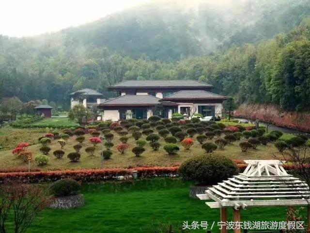 南苑花博园郁金香,除了郁金香还有什么花好看