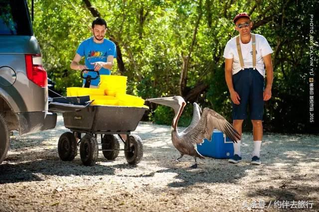 南佛罗里达：阳光眷顾的自由乐土