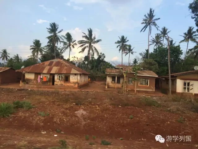 一生必去一次的非洲坦桑尼亚｜回归狂野