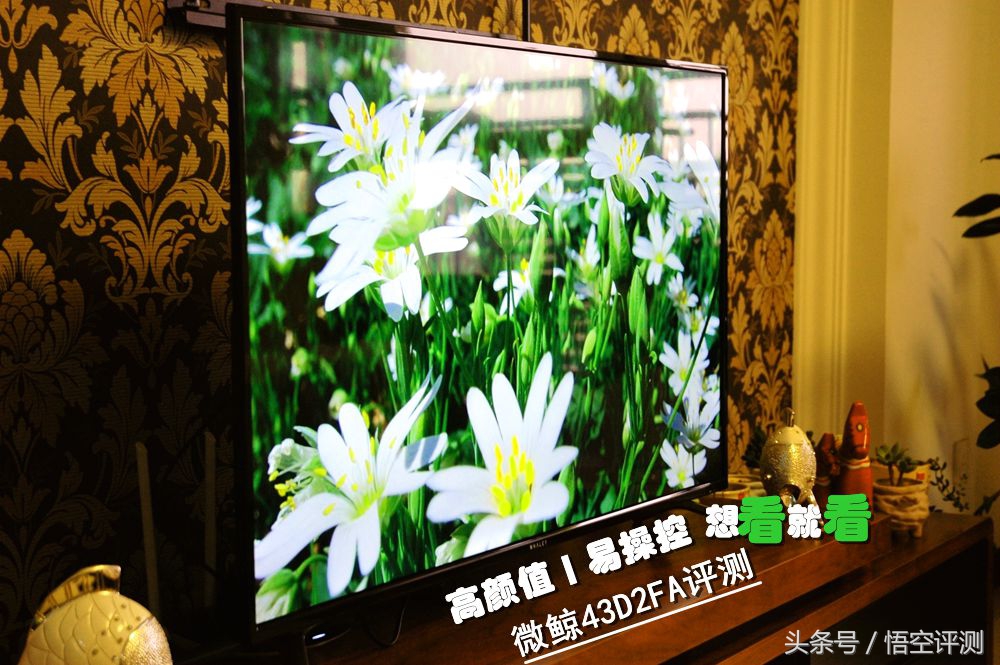 微鲸42寸电视,微鲸电视55英寸