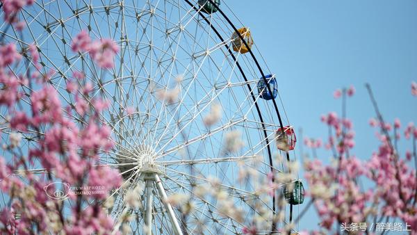 观澜湖空中墅设计图,观澜湖实景演艺