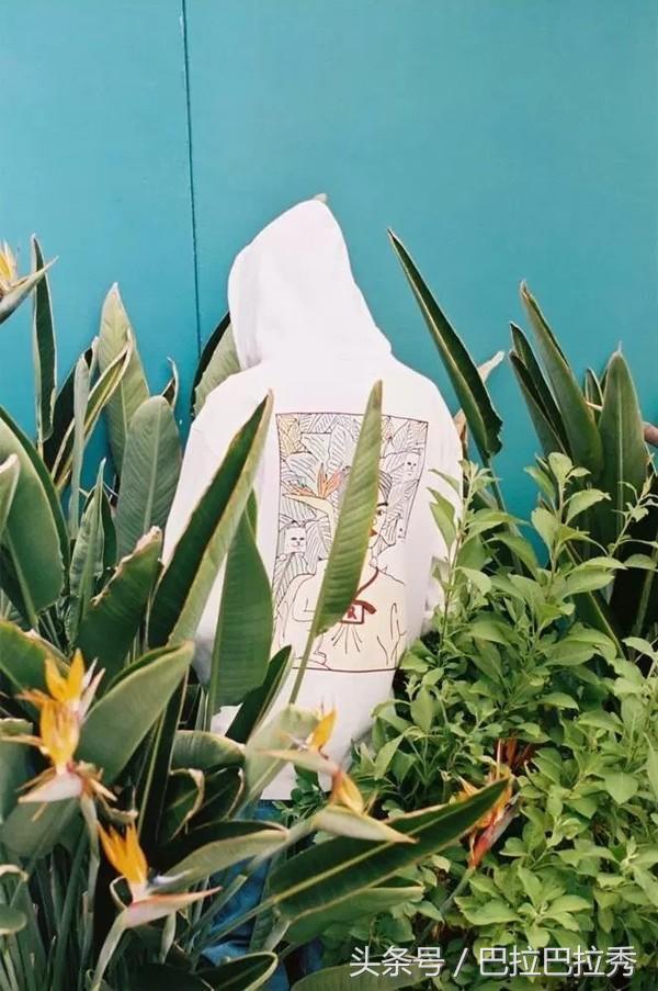 潮牌王者,潮牌王者荣耀