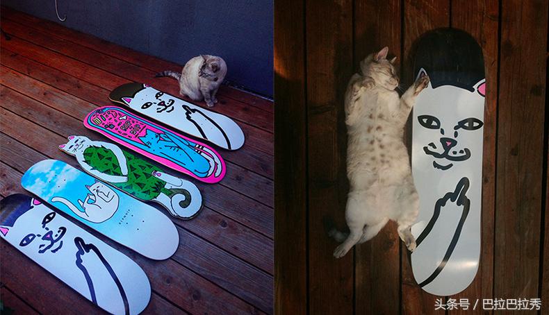 潮牌王者,潮牌王者荣耀