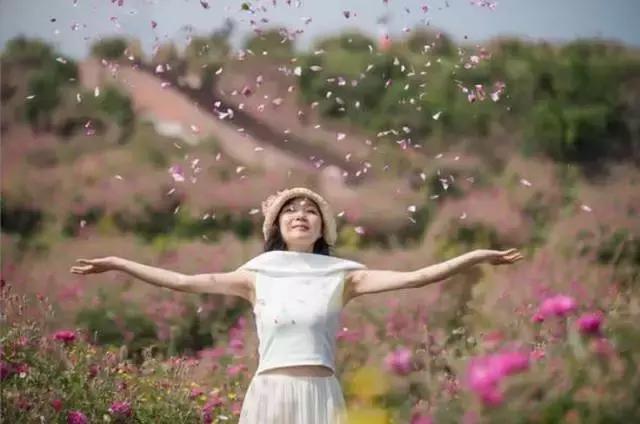 成都周边玫瑰景点推荐一下,成都玫瑰花海一日游