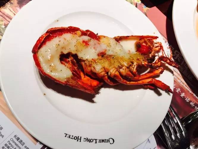 长隆野生动物园一天怎么玩,长隆野生动物园一天游不完怎么住