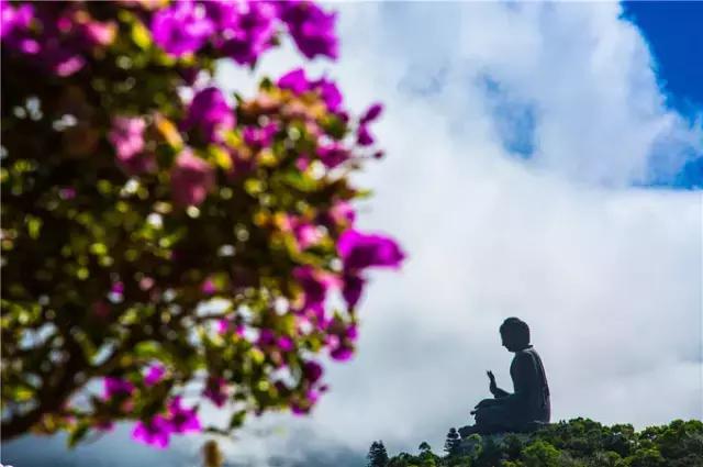 香港tvb的发展历程,香港tvb怀旧之旅
