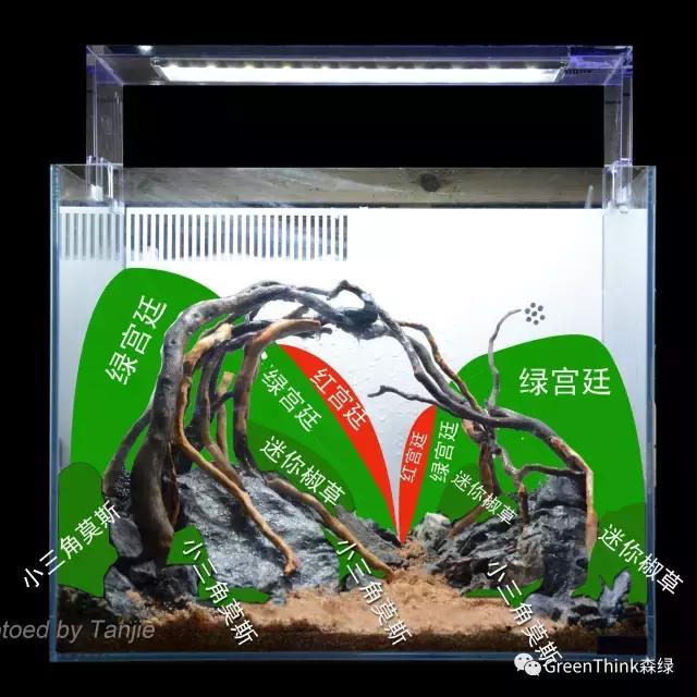 水草缸造景大师视频大全,水草造景大师