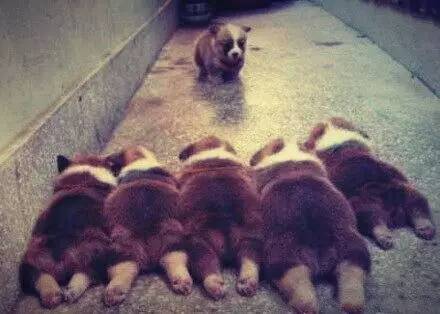 蓝衫翩翩踏月来，风流飘逸梦留香你不好奇他的八卦？