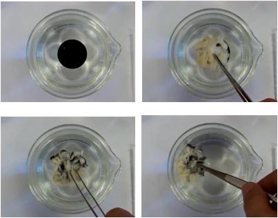 杨柳絮过敏去医院有用吗,杨柳絮和花粉过敏一样吗