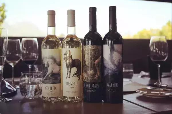 为什么选择去南非留学,为什么要去南非旅行