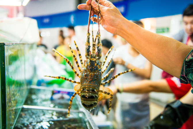 蓝天白云,椰风海韵,去三亚散散心吧