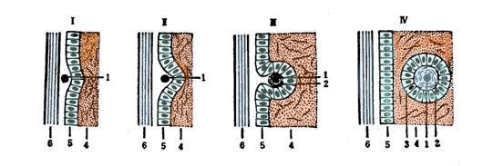 你在海边捡到过什么宝贝,你在海边捡到过什么东西