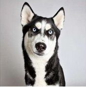 我跟B超杠上了！这一篇是专业性很强的文章！