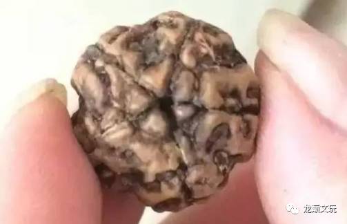 变形金刚假的冒牌货,金刚如何辨别品种和品相