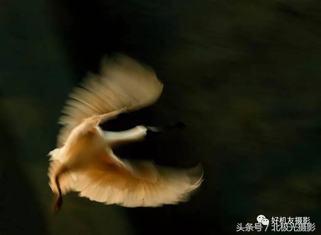 快门速度快慢的区别,快门速度多少可以有运动模糊