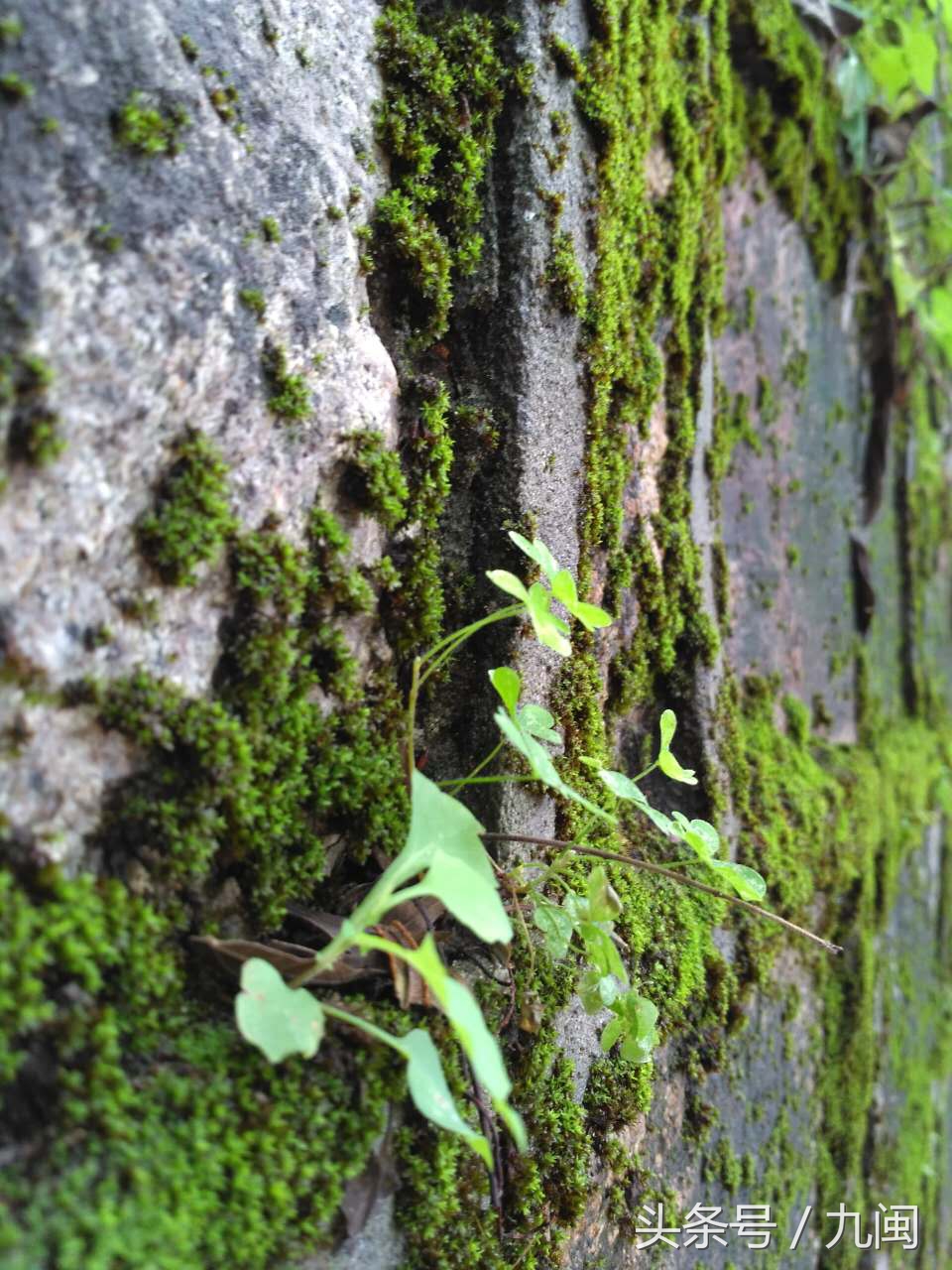 从零开始教你做微信营销,手把手教你玩转微信营销是真的吗
