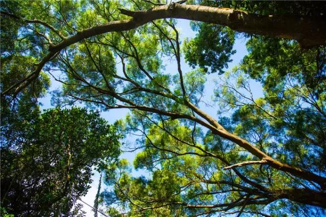 香港tvb的发展历程,香港tvb怀旧之旅