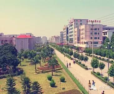 那些年的东莞纪录片,那些年的塘厦