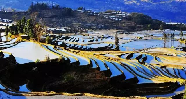 武汉⇋珠海高铁今日开通！这个春天，一起去感受那些美哭的风景！