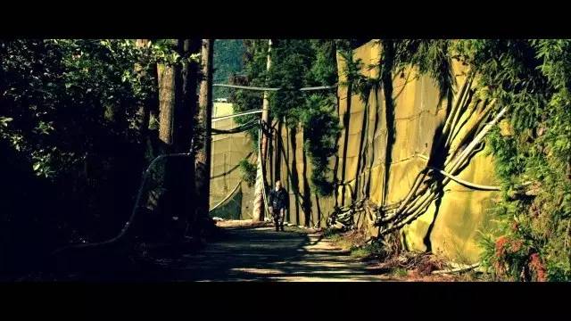 全球10部顶级惊悚片冤魂,最新有关回魂夜的恐怖片