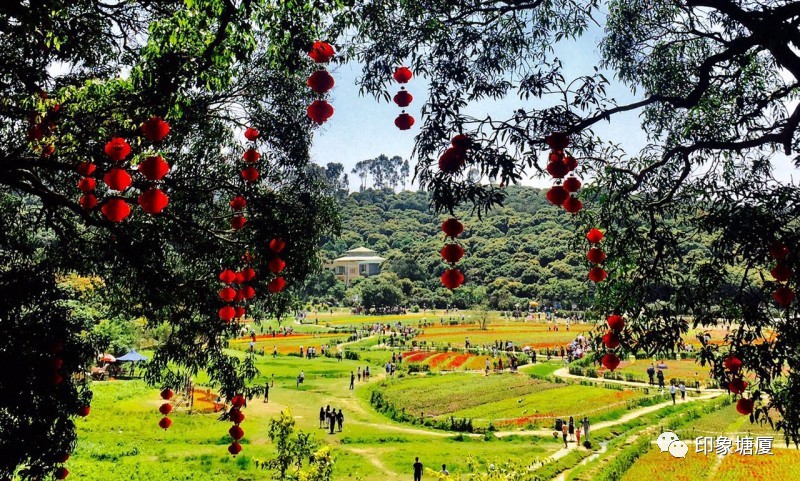 塘厦隐藏的美景,广东塘厦隐藏好玩地方