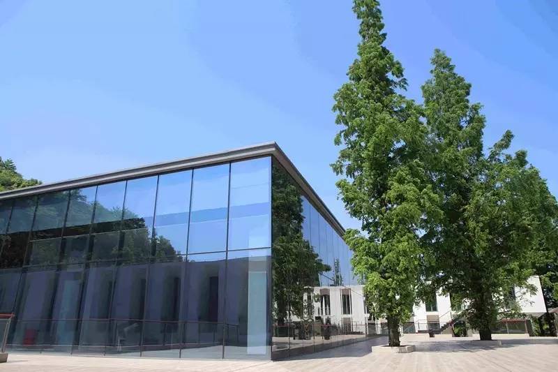 城北踏春“新宠”！全球最美的城市出口，8万平方米的天子岭生态公园！带ta来