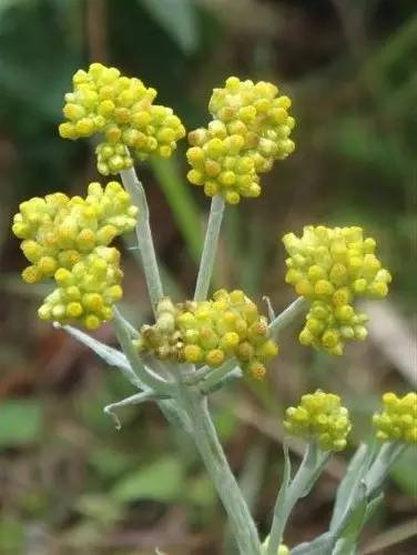 今年的清明与往年一样,今年的清明和往年不一样的感觉