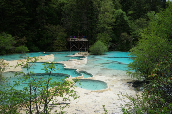 九寨黄龙成都自由行6日,成都九寨沟黄龙五天四晚自由行