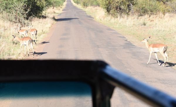 彩虹国家南非,彩虹国度南非之旅