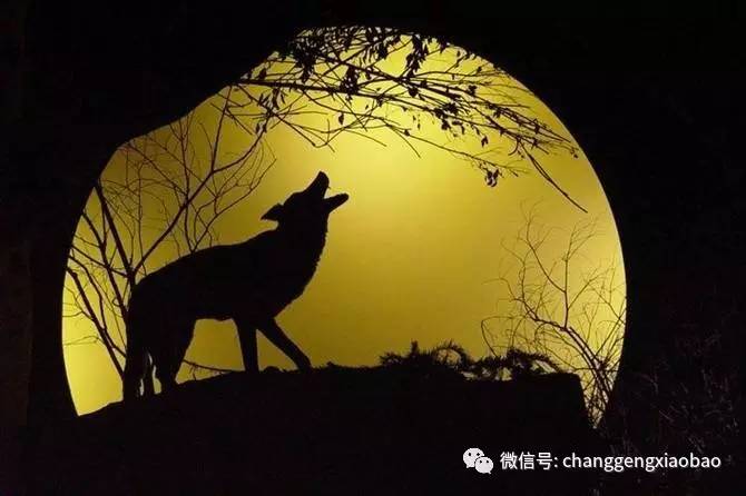 易到老板周航声明,易到创始人周航怎么创业