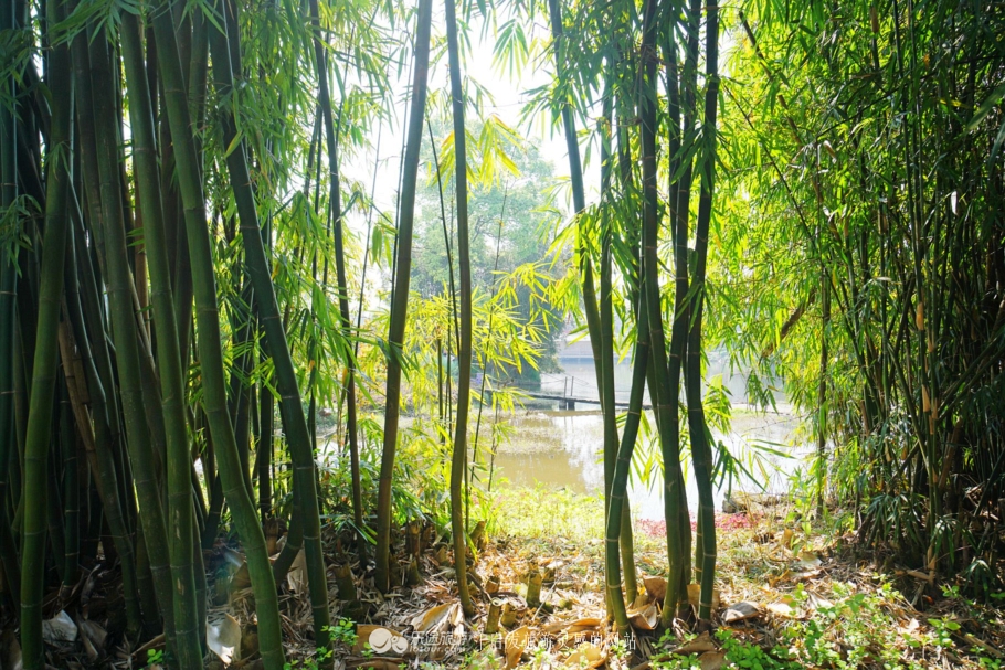 推开石门登一山拜一佛,你就修得了正果