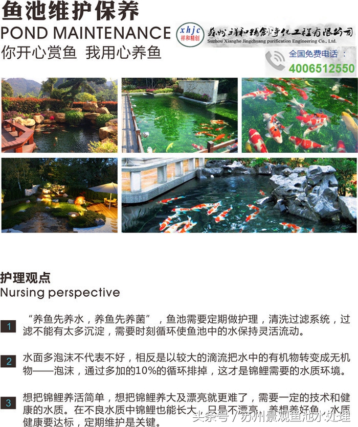 观赏鱼用药,观赏鱼鱼药的使用方法和注意事项