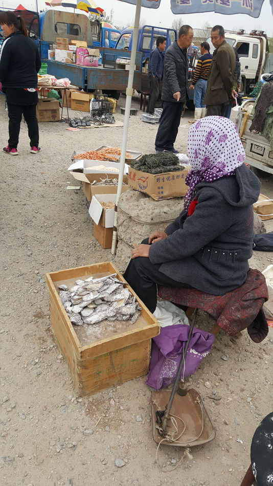 唐山市乐亭县大集,河北唐山乐亭大集