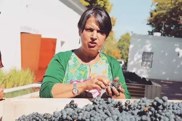 为什么选择去南非留学,为什么要去南非旅行