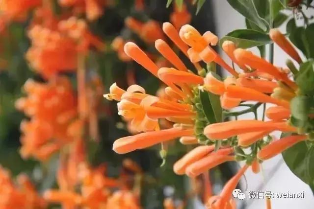 安溪最好看的风景,安溪哪个风景好