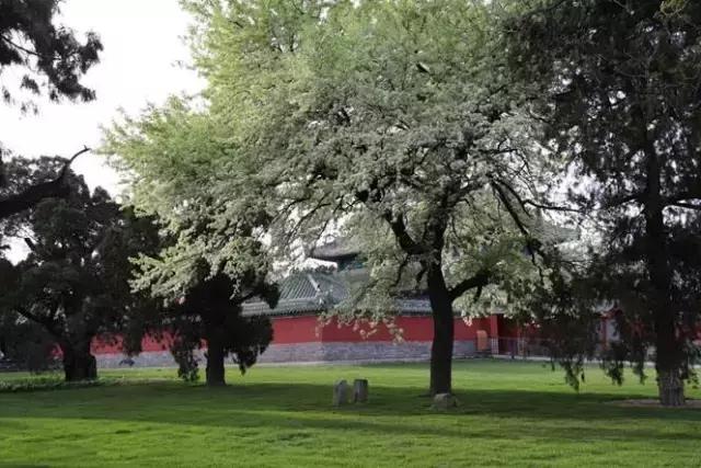 佳能800d与77d哪个更好有什么区别,佳能77d和佳能800d哪个值得入手