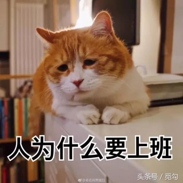 对于怀春少女，这就相当于她们的AV