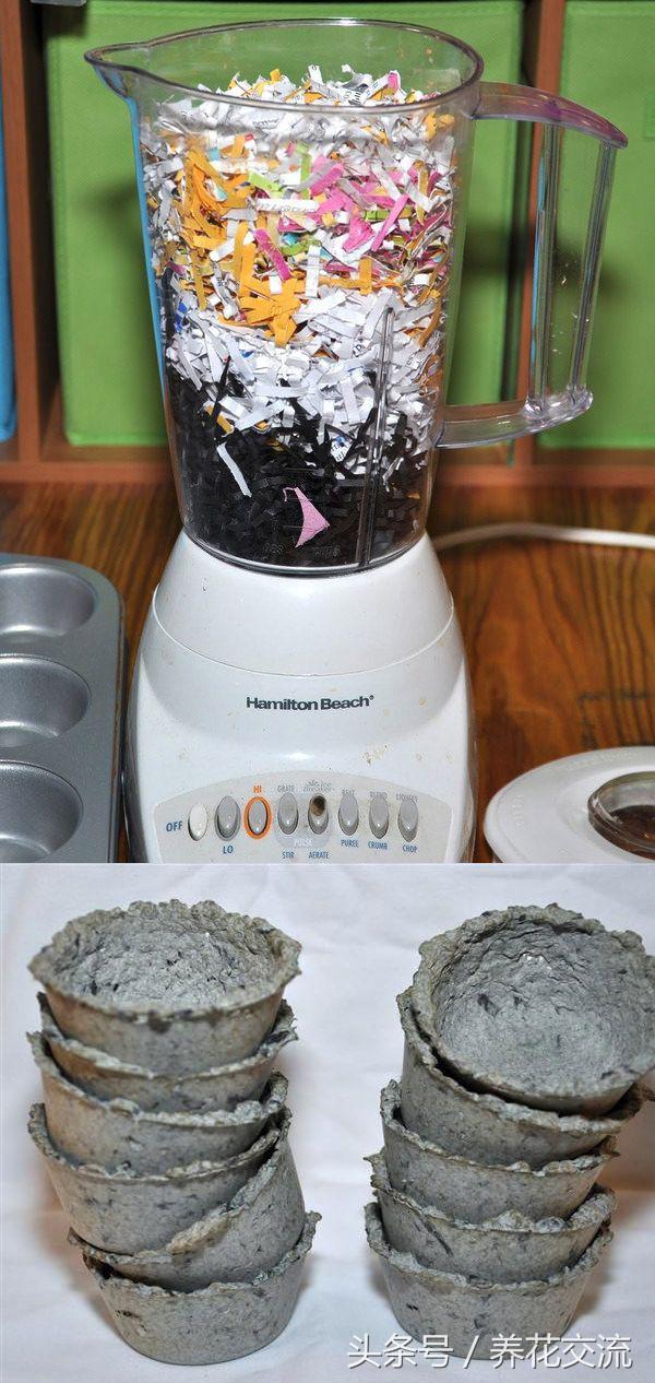 有了种子怎么种菜,有几种种植方法