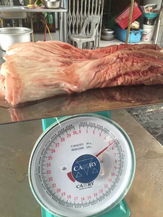 大龙趸石斑鱼8斤,30斤龙趸石斑鱼