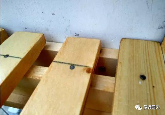 木质花架推荐用吗,什么样的木质花架好看