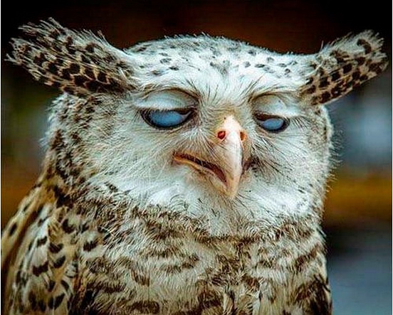 开客栈遇到奇葩的客人,开客栈遇到的奇葩经历