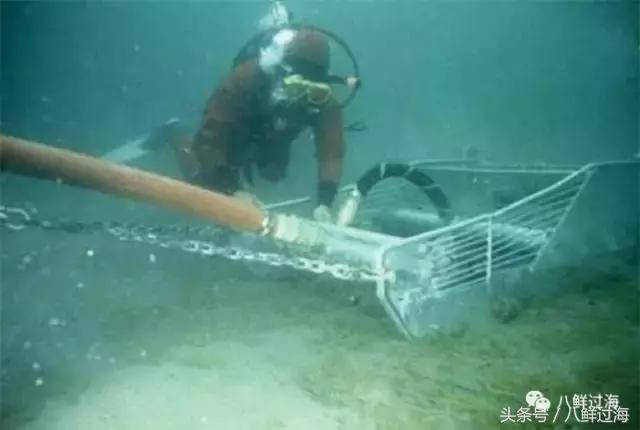 鍖楁瀬璐濋粍閲戣礉,鍔犳嬁澶у寳鏋佽礉鎺ㄨ崘