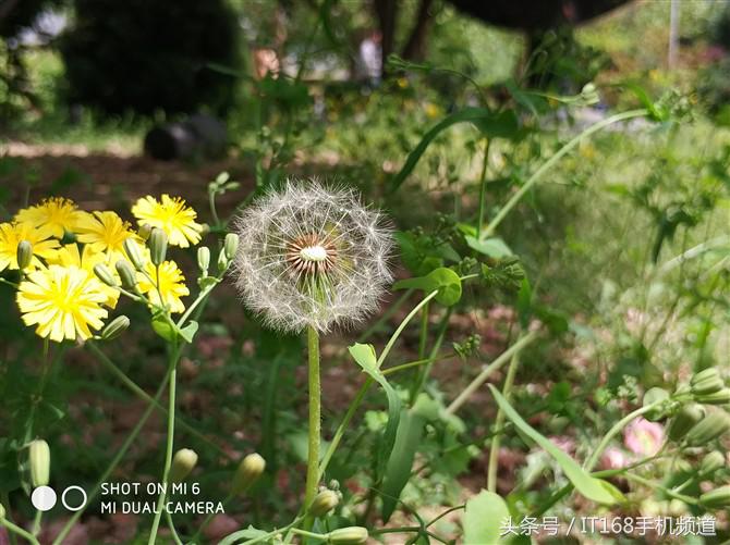 小米6拍照好看的手机,小米6和iphone6拍照