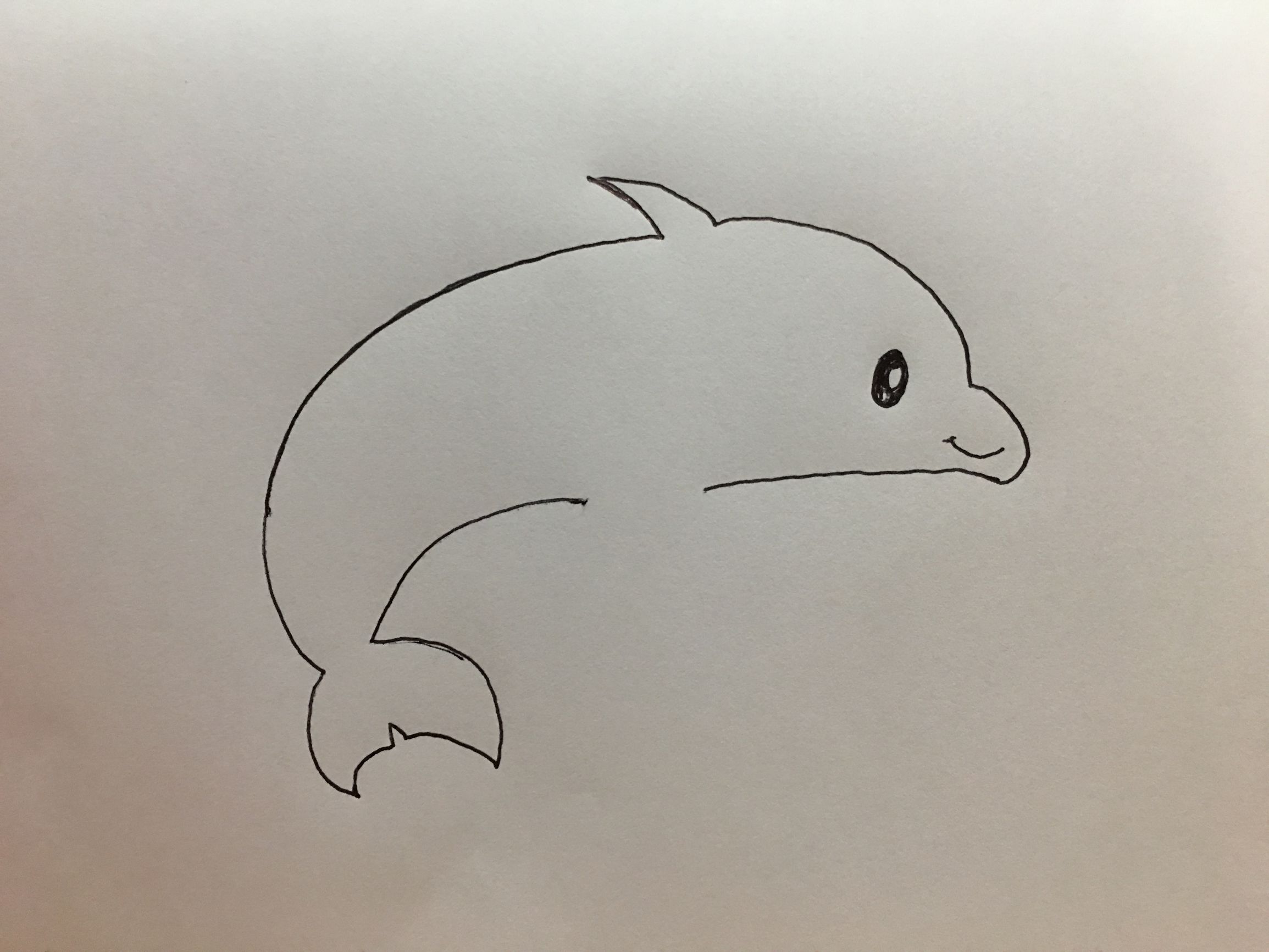 小海豚过生日简笔画,迷你小海豚泡泡简笔画