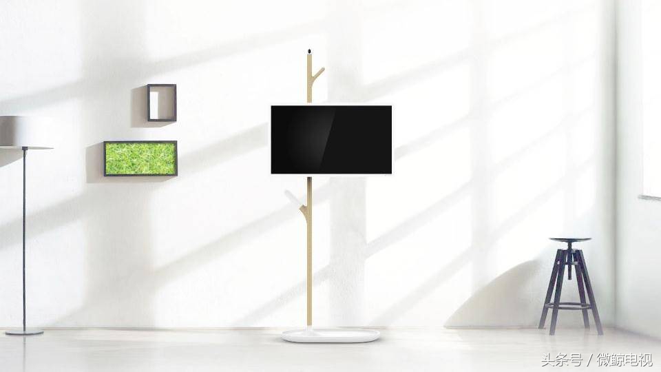 微鲸科技的产品,微鲸新款